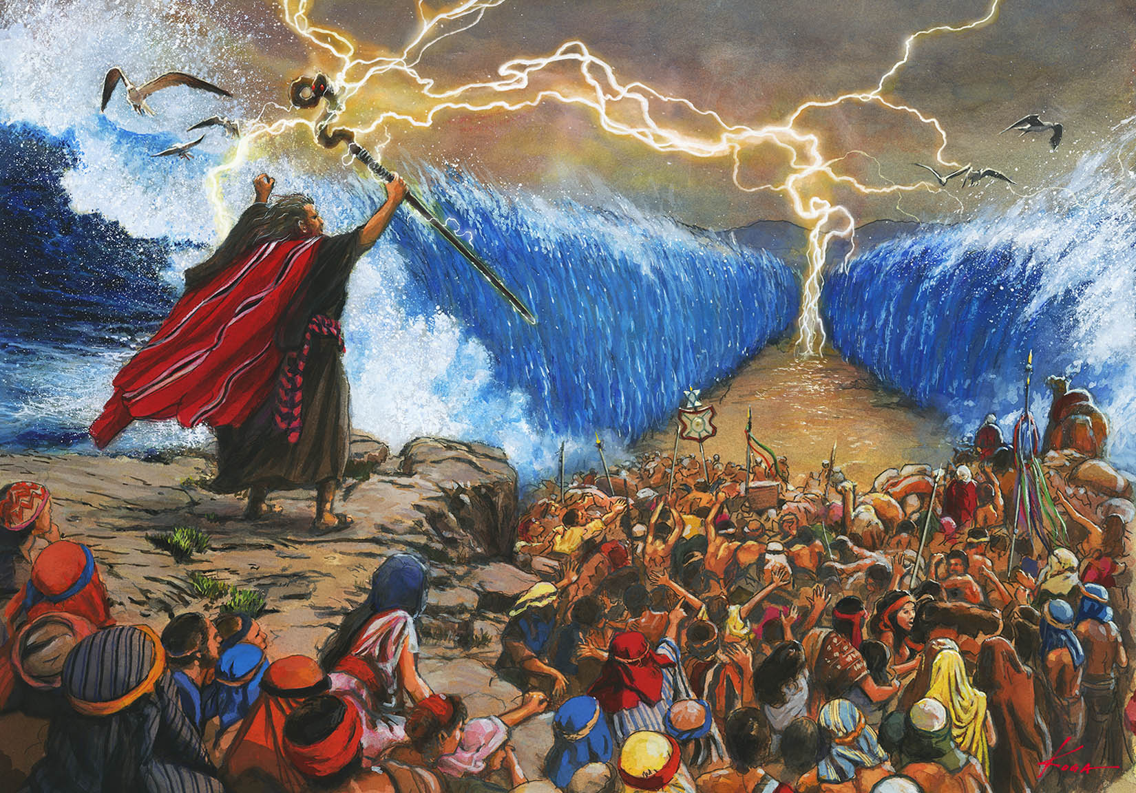 ���[�Z�̏�